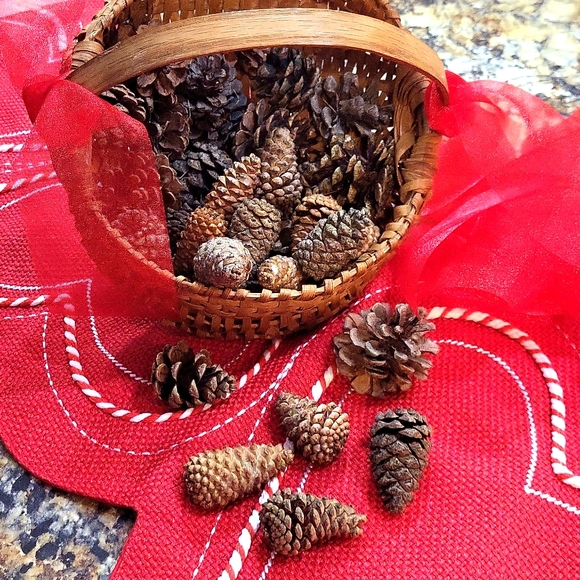 Hand Crafted Accents Handcrafted Natural Or Scented Pine Cones Home